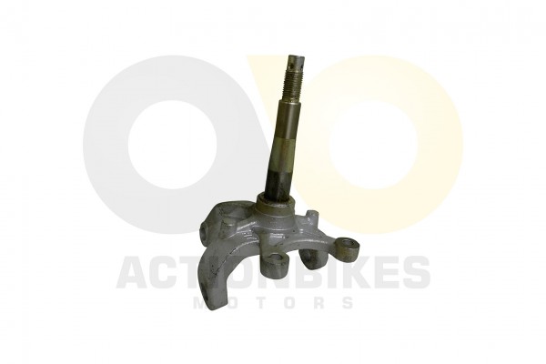 Actionbikes Shineray-Achsschenkel-vorne-links-XY250STXE--XY200ST-9-SRM--XY200ST-6ASTXE-PLUS 35313431