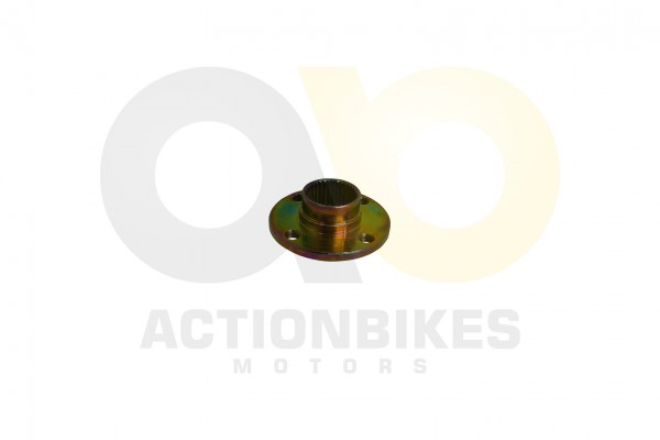 Actionbikes Shineray-XY250STXE-Aufnahme-fr-Kettenrad-XY200ST-9200ST-6A 33303134392D3336382D30303031