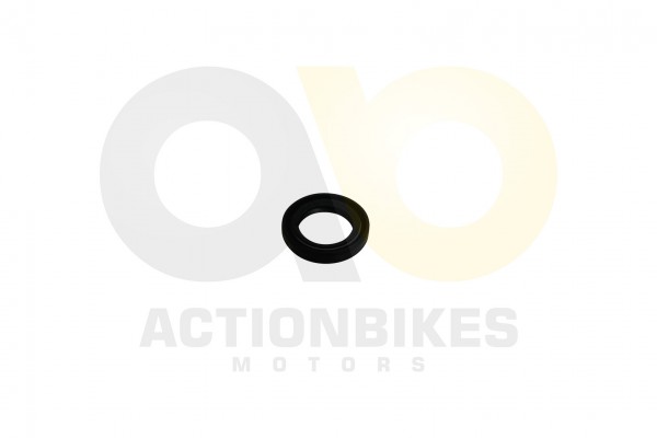 Actionbikes_Simmerring_22347_Mad_Max_300_Getriebea