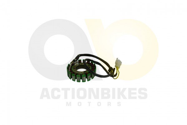 Actionbikes_Motor_250cc_CF172MM_Lichtmaschine_3331