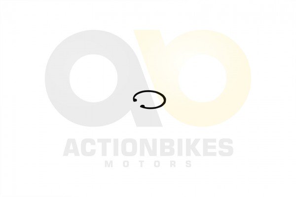 Actionbikes_Renli_KWGK_250DS_Sicherungsring_fr_Rad