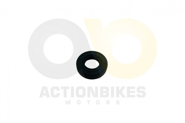 Actionbikes Shineray-XY250ST-9E--SRM--STIXE-Simmerring-fr-Schaltwelle--14x28x7 32343139302D3037302D3