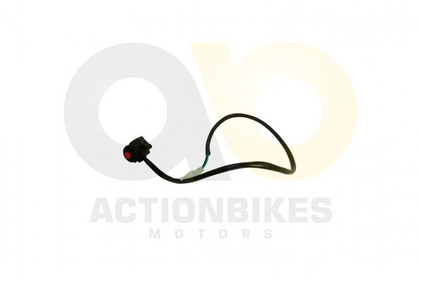 Actionbikes_Shineray_XY250SRM_Notausschalter_links