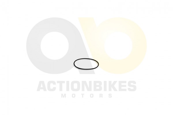 Actionbikes_Feishen_Hunter_600cc_Dichtung_Steuerke56c19b1c43fdf