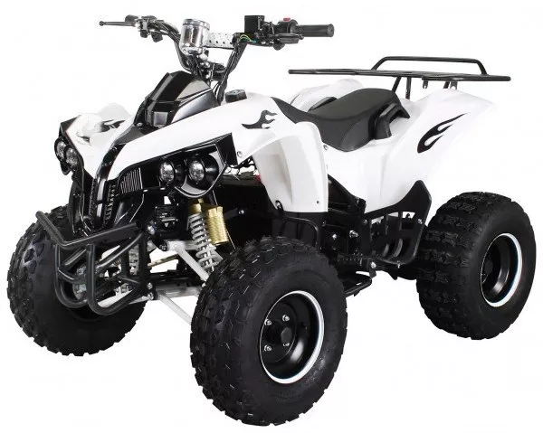 S-10 1000 Watt Quad für Kinder Kinderquad S-10 1000 hier anschauen