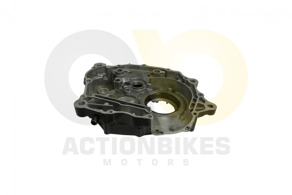 Actionbikes_Shineray_XY250STXE_Motorgehuse_rechts_