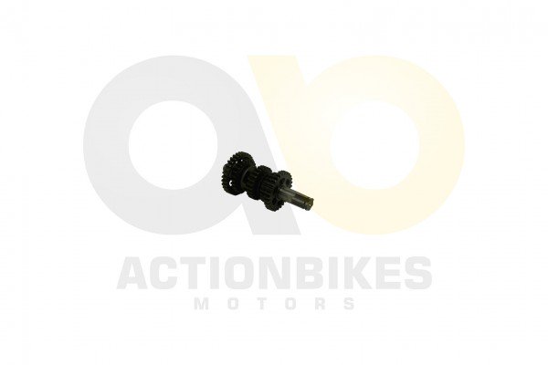 Actionbikes_Shineray_XY250SRMXY250ST_3E_Getriebene