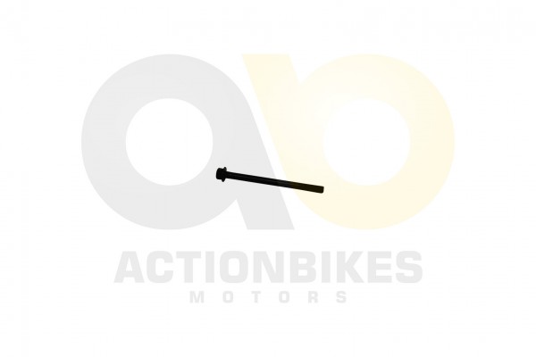Actionbikes_XYPower_XY500ATV_SHAFTROLLER_323135323
