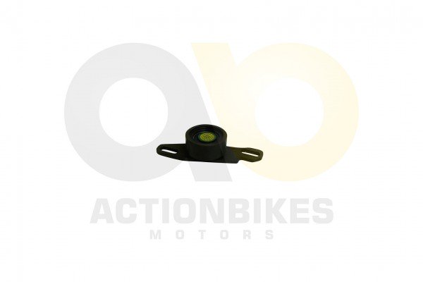 Actionbikes_Motor_465Q_XT1100GK_SpannrolleZahnriem