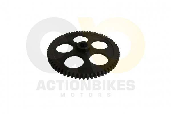 Actionbikes Schneefrse-Raupe-Antriebszahnrad-fr-Raupenantrieb 4A482D53462D323431 01 WZ 1620x1080