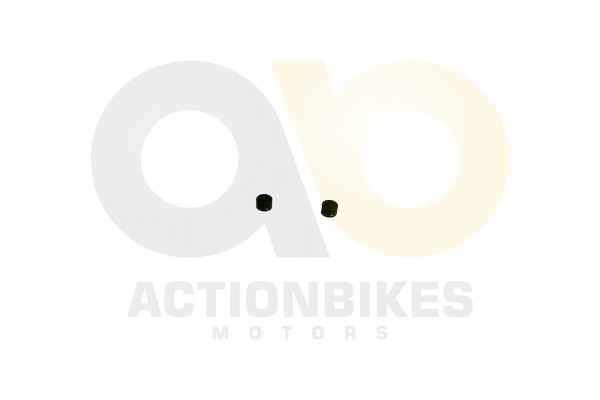 Actionbikes Shineray-XY250SRM-Ventilschaftdichtung--Paar-2-Stck 31343733302D3037302D30303030 01 WZ 1