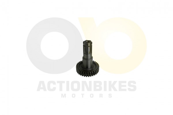 Actionbikes_Speedstar_JLA_931E_Getriebeausgangswel