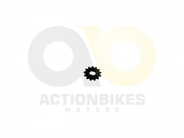 Actionbikes_T_Max_eFlux_40_Ritzel_vorne_13_Zhne_45