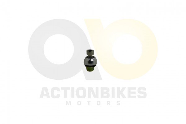 Actionbikes_Speedslide_JLA_21B_Verkleidungsschraub