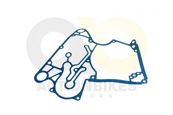 Actionbikes_Feishen_Hunter_600cc_Dichtung_Motormit