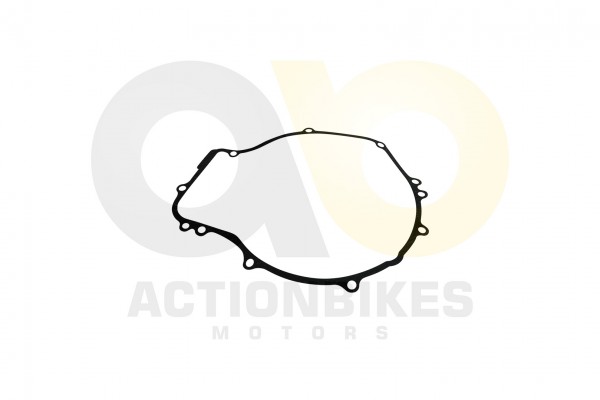 Actionbikes_XYPower_XY500ATV_Dichtung_Lichtmaschin