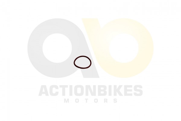 Actionbikes_Speedstar_JLA_931E_Dichtring_Spacer_Ve