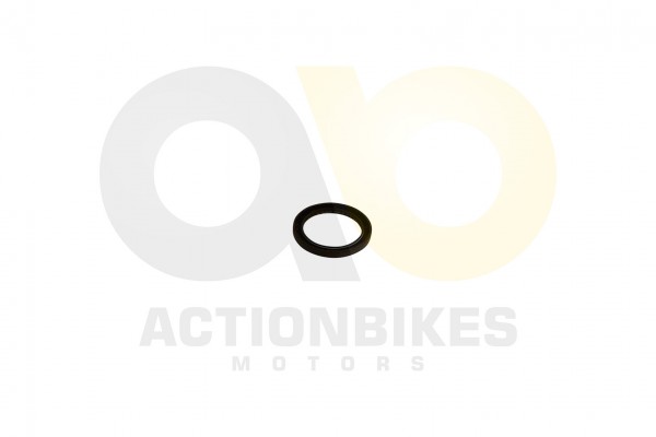 Actionbikes_GoKa_GK1100_2E_Simmerring_Kurbelwelle_