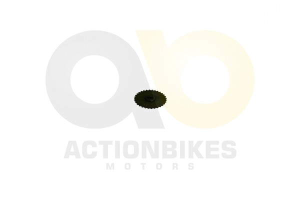 Actionbikes_Motor_500_cc_CF188_lpumpe_Steuerzahnra