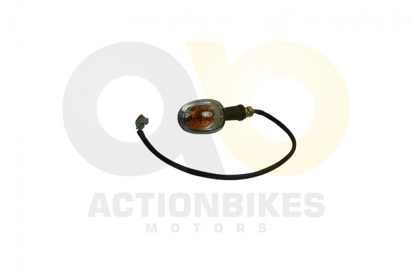 Actionbikes_Luck_Buggy_LK260_Blinker_vorne_3333343