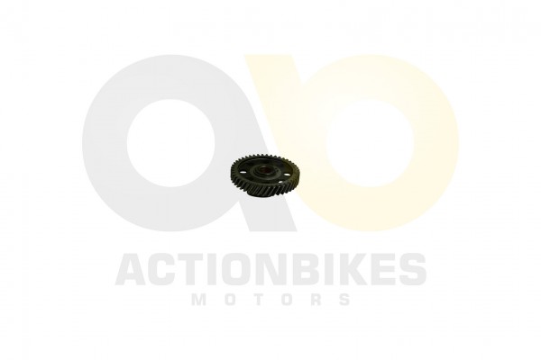 Actionbikes_Shineray_XY250SRM_Nockenwellenzahnrad_