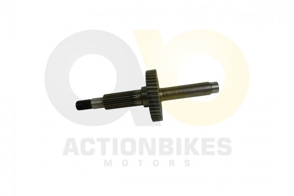 Actionbikes Shineray-XY150STE--XY200ST-9--Getriebeausgangswelle 4759362D313530412D303031343133 01 WZ