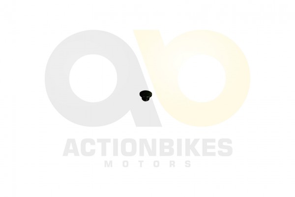 Actionbikes_Motor_500_cc_CF188_lkontrollschrauben_