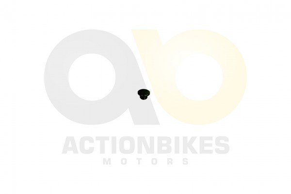 Actionbikes_Motor_500_cc_CF188_lkontrollschrauben_