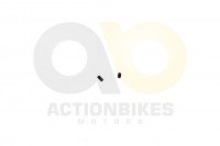 Actionbikes_Shineray_XY250STXE_Kontaktstift_mit_Fe Actionbikes_Shineray_XY250STXE_Kontaktstift_mit_Fe