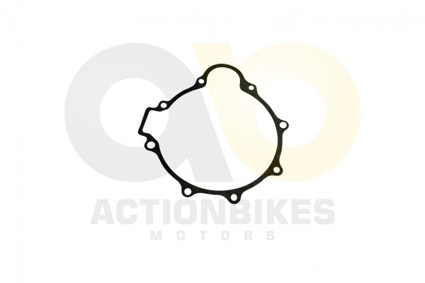 Actionbikes_Shineray_XY125_11_Dichtung_Lichtmaschi