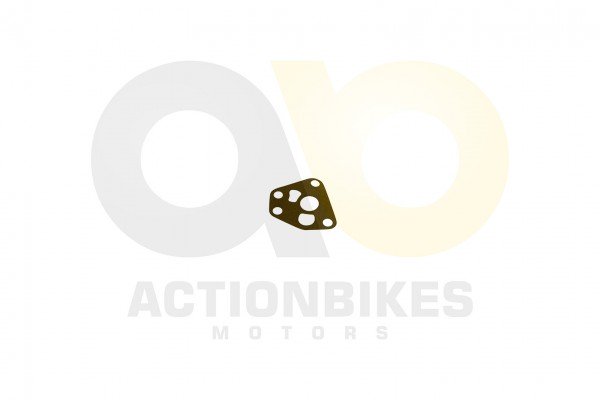 Actionbikes_Shineray_XY350ST_EST_2E_Dichtung_lpump