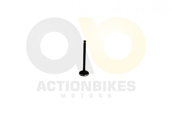Actionbikes_LJ276M_650_cc_Einlaventil_323730512D30