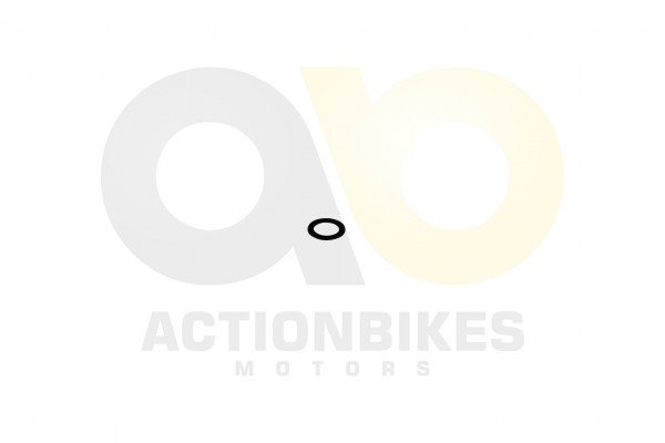 Actionbikes_Motor_500_cc_CF188_Getriebe_Unterlegsc56c1ccfbdba8c