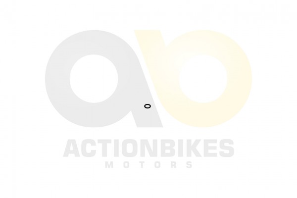 Actionbikes_Feishen_Hunter_600cc_O_Ring_88x18_Kipp