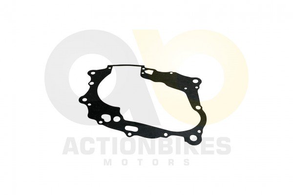 Actionbikes_Shineray_XY250STXE_Dichtung_Motorgehus