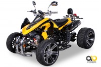 Actionbikes Speedslide Gelb 33313237383039 360-14 BGWL 1620x1080 - Farbe: Gelb