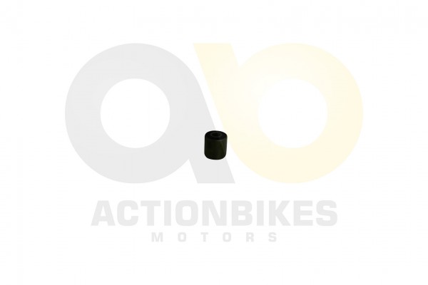 Actionbikes_Motor_260cc_XY170MM_Silentbuchse_Motor