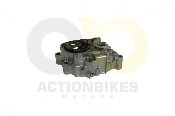 Actionbikes_Shineray_XY250SRM_Motorgehuse_rechts_3