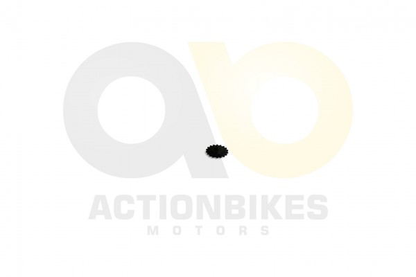 Actionbikes_Feishen_Hunter_600cc_lpumpe_Zahnrad_18