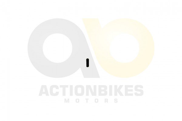 Actionbikes_Jetpower_Motor_E15_700_Thermostat_Entl