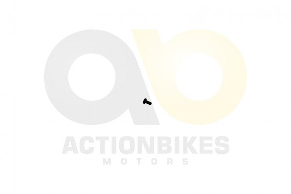 Actionbikes_Feishen_Hunter_600cc_Nockenlagerhalter