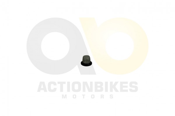 Actionbikes_Motor_260cc_XY170MM_lfiltersieb_313232