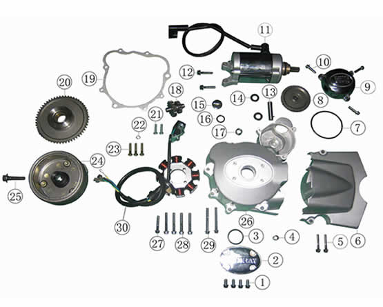 Left_Crankcase_Cover_Starting