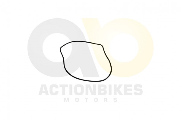 Actionbikes_Shineray_XY200ST_9_Dichtung_Ventildeck