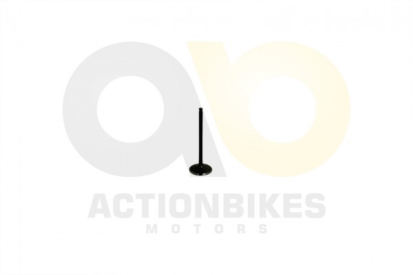 Actionbikes_Dongfang_DF600GK_Einlaventil_313936532