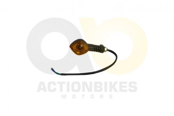 Actionbikes_Shineray_XY350ST_2E_Blinker_hinten_rec