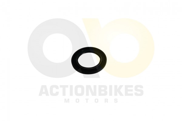 Actionbikes_Simmerring_34525_Variomatikausgang_Mot