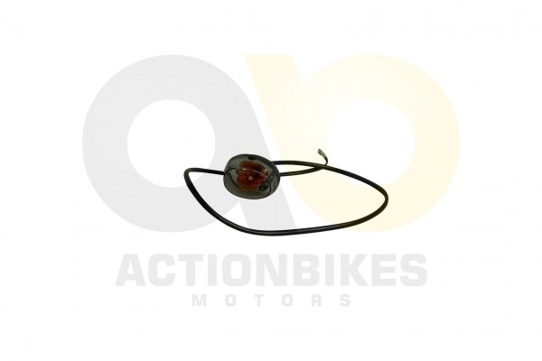 Actionbikes_Dinli_DL801_Blinker_hinten_links_41313