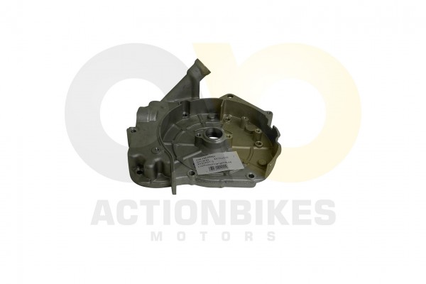 Actionbikes Shineray-XY150STE--XY200ST-9-Lichtmaschinengehuse 4759362D3132352D303030363031 01 WZ 162