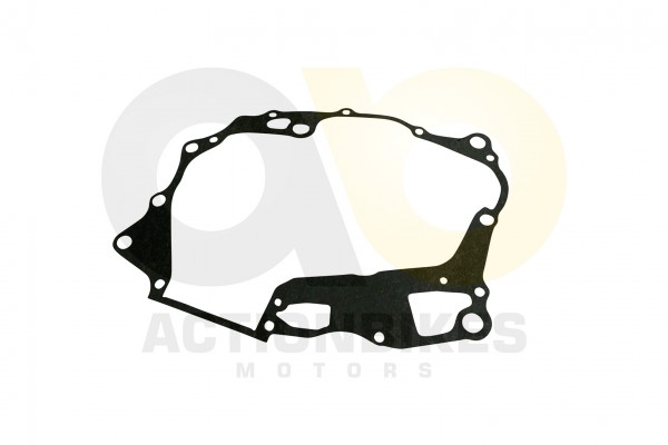 Actionbikes_Shineray_XY125_11_Dichtung_Motormitte_